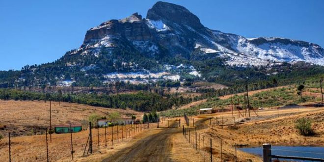 Contractors in Free State